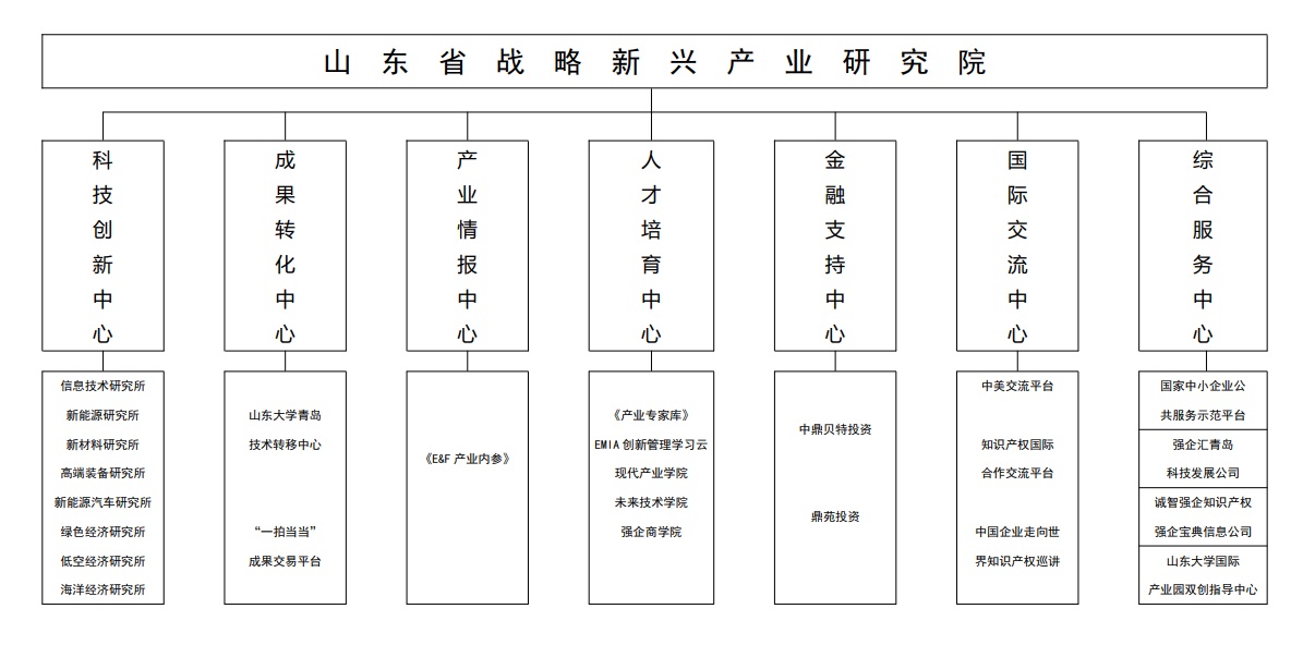 山东省战略新兴产业研究院实行理事会领导下的院长负责制，下设综合管理部、战略研究部、成果转化部、项目合作部、专家服务部、党建工作部等职能部门，构建了科学规范、运行高效的组织管理体系。
